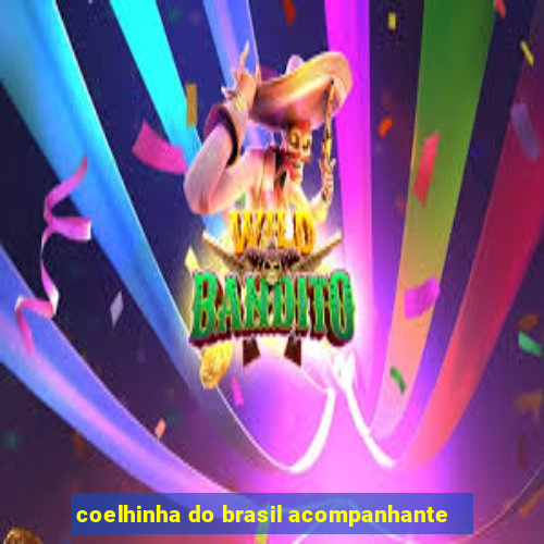 coelhinha do brasil acompanhante